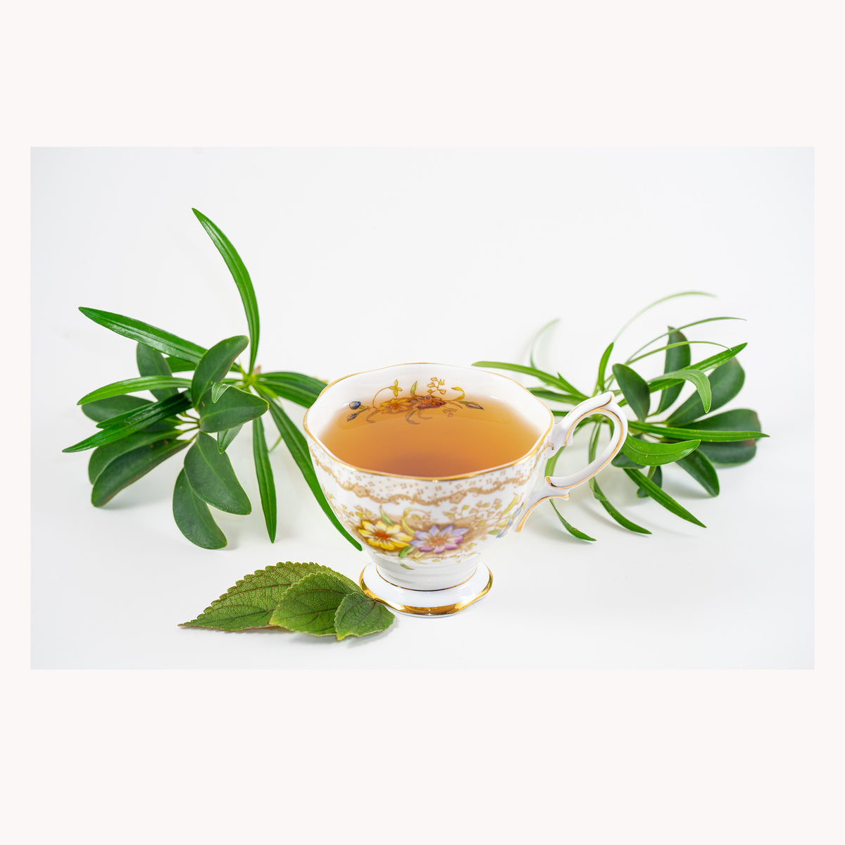 Kai Organic Green & White Tea Loose Leaf Infusion (1lb Size)